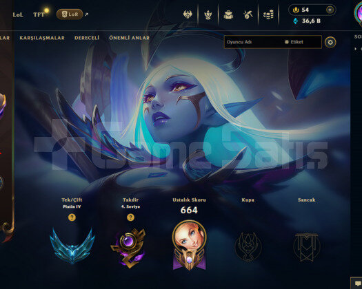 601 LEVEL / 417 SKIN / FULL HERO / +MAIL / +TEL