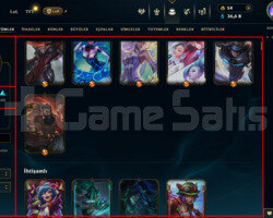601 LEVEL / 417 SKIN / FULL HERO / +MAIL / +TEL