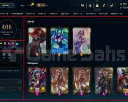 459 LEVEL / 406 SKIN / FULL HERO / +MAIL / +TEL