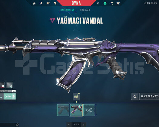 YAĞMACI VANDALLI TAKILMALIK ACC!