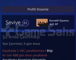 200 Oyunlu 61 Seviye Steam Hesabı