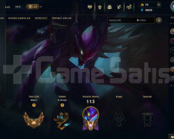 EUW Handmade hesap 56 Level Gold 1+