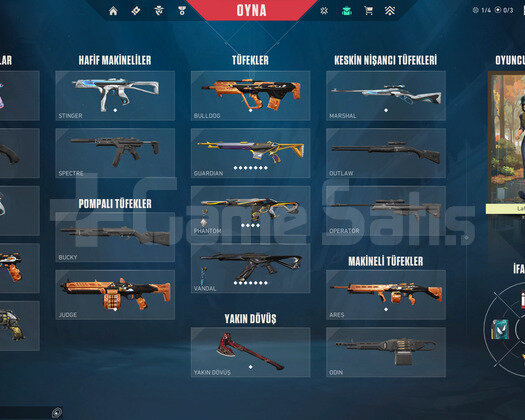 ON NUMARA SMURFLÜK DÜŞÜK ELO ACC!