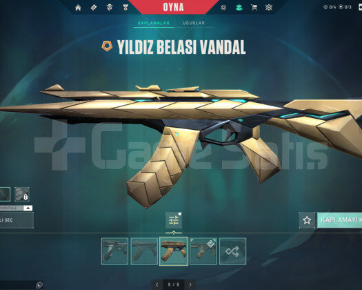 VCT 2025Lİ ON NUMARA TAKILMALIK ACC!