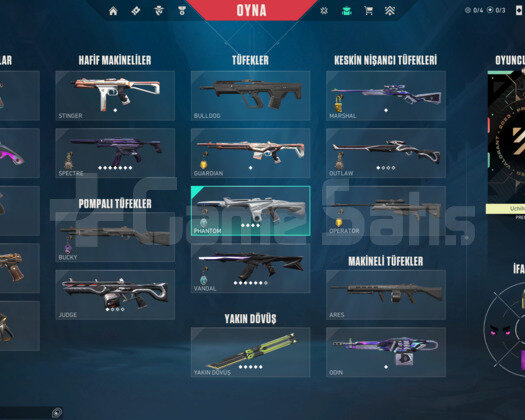 YORU VE RGX PRO KELEBEK/ANOMALİ MAİLLİ HESAP