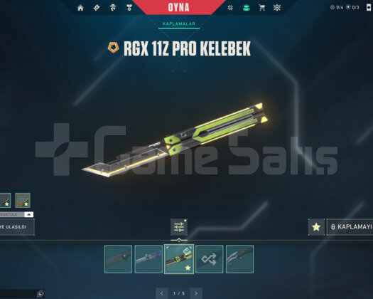 YORU VE RGX PRO KELEBEK/ANOMALİ MAİLLİ HESAP