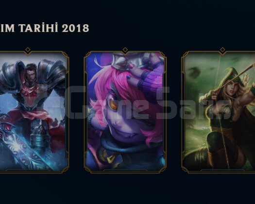 2018 KURULUM 28 SEVİYE GARANTİLİ HESAP
