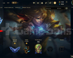 EUW / ELMAS 4 1150 RP BULUNAN 65 WR MAINLİK HESAP