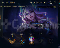 EUW  Gold 2| 2 Kostüm - 29 Hero | LoL