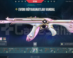 DOLULAR DOLUSU VİDEOLU UCUZ FİYATA