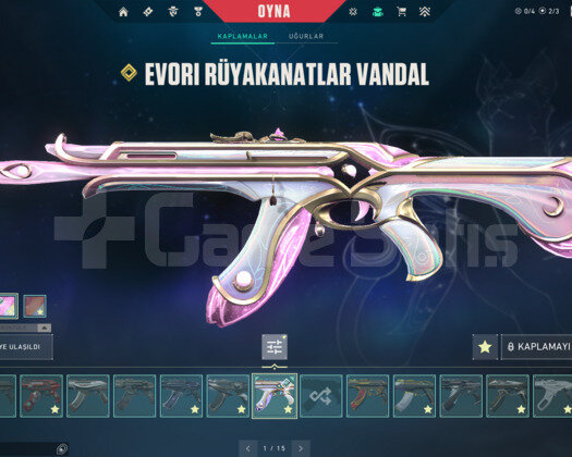 DOLULAR DOLUSU VİDEOLU UCUZ FİYATA