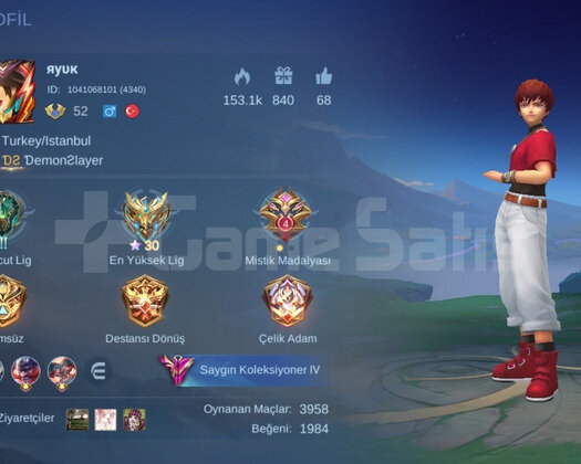 EN UCUZ SAYGIN HAYABUSA MAİNE GİDER