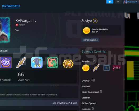 12 Madalya 50 Oyun 35 Seviye Steam