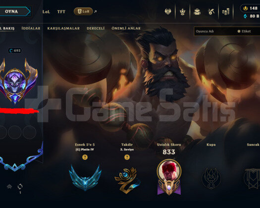693 LEVEL / 412 SKIN / FULL HERO / +MAIL / +TEL