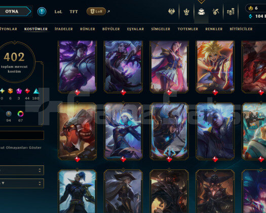 473 LEVEL / 402 SKIN / FULL HERO / +MAIL
