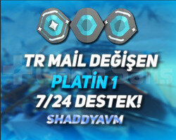 TR - MAİL DEĞİŞEN - PLATİN 1 HESAP - 7/24 DESTEK