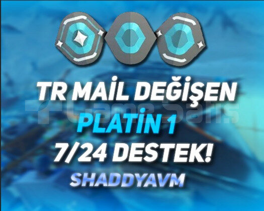 TR - MAİL DEĞİŞEN - PLATİN 1 HESAP - 7/24 DESTEK