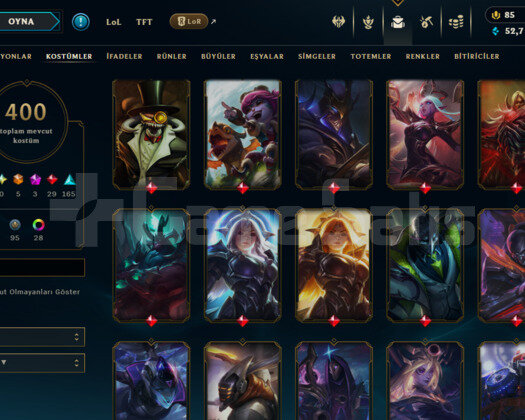 389 LEVEL / 400 SKIN / FULL HERO / +MAIL