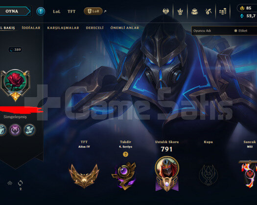 389 LEVEL / 400 SKIN / FULL HERO / +MAIL