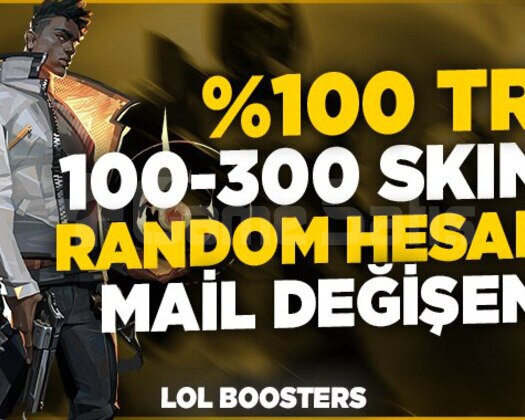 100TR SUNUCU/ 100-300 SKİN/MAİLDEĞİŞEN/ÖZELSTOK