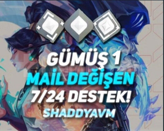 TR - MAİL DEĞİŞEN - GÜMÜŞ 1 HESAP - 7/24 DESTEK!!
