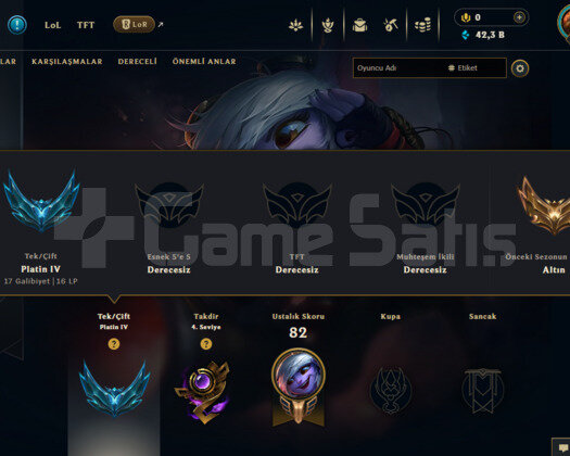 EUW PLAT 4/85WR/42K MAVİ ÖZ/TAKDİR 4/