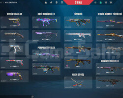VALORANT FULL DOLU ELMAS HESAP 169+skin