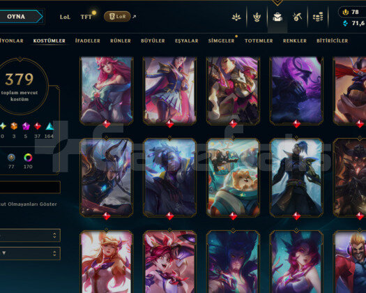 808 LEVEL / 379 SKIN / FULL HERO / +MAIL
