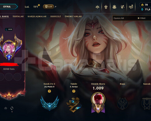 808 LEVEL / 379 SKIN / FULL HERO / +MAIL