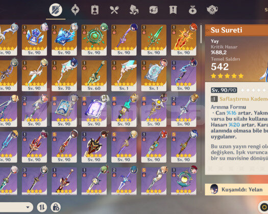 Endgame Meta Hesap