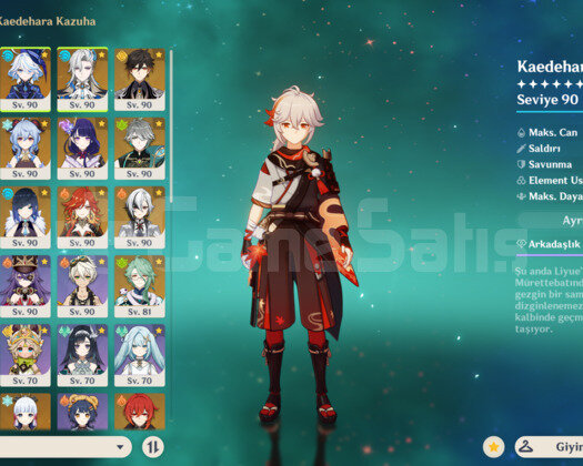 Endgame Meta Hesap