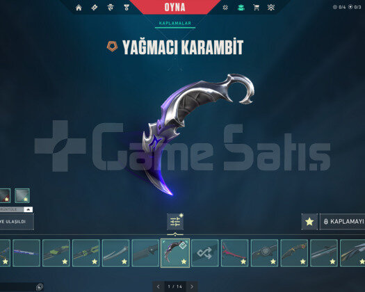 FULL ENVANTER ALTIN AFETLİ MAİNLİK ACC!