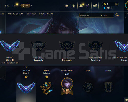 ADC CHALL ERİME DİA 2 KİŞİSEL HESABIM - 5 SKIN -