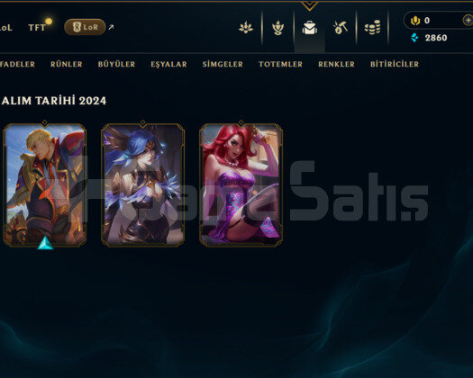 DEREECLİ HAZIR / 1 YILLIK / GÜMÜŞ 3