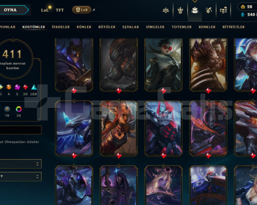 513 LEVEL / 411 SKIN / FULL HERO / +MAIL / +TEL