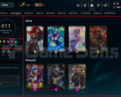 513 LEVEL / 411 SKIN / FULL HERO / +MAIL / +TEL