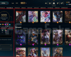171 LEVEL / 322 SKIN / FULL HERO / +MAIL