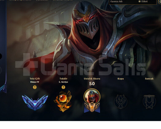 EUW DIA 4 +25 LP GAIN HESAP