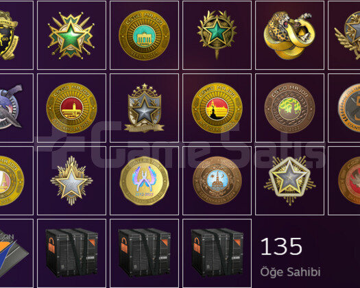 19 MADALYALI - STEAM 73 LEVEL - 211 OYUNLU CS2