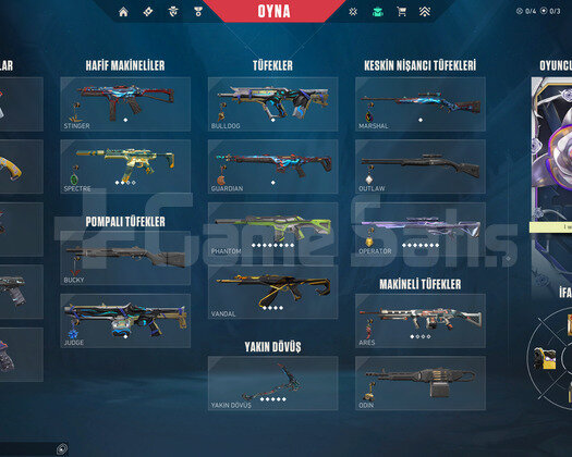 TR + MAİL DEĞİŞEN + CHAMPİONS + TIRPAN + RGX!!!