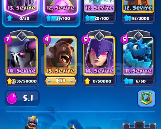 CS hesabı + bs hesabı 25 çok ucuza