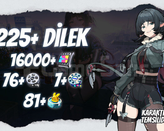 EU | IK30 225+ Dilek - 16000 Polychrome 76+7+81