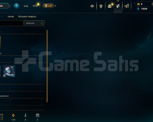 TR DEMİR 1 / S11 HESABI