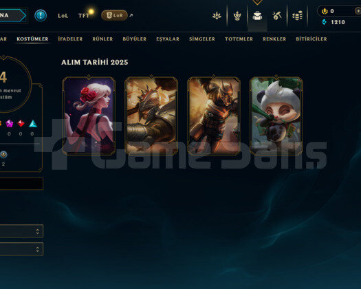 TR DEMİR 1 S12 HESABI 4 KOSTÜM