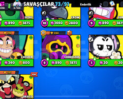 73 karakter 23k brawl stars hesabı