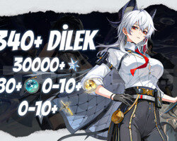 EU | UL40 Zani + Blazing Justice + Dilek