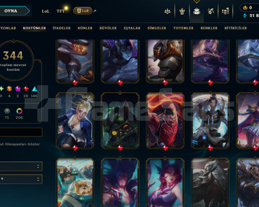 588 LEVEL / 344 SKIN / FULL HERO / +MAIL / +TEL