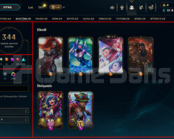 588 LEVEL / 344 SKIN / FULL HERO / +MAIL / +TEL