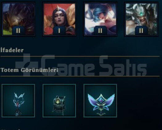 TR X 37 LVL X 11 SKIN X 31 HERO X 5K ÖZ X 1400 ÖZ