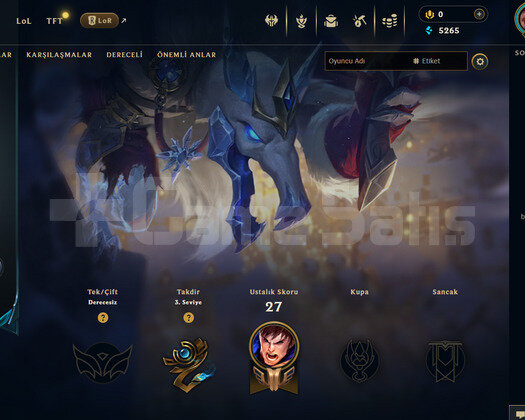 EUW Geçen Sezon Plat | 4 Kostüm - 33 Hero | LoL He
